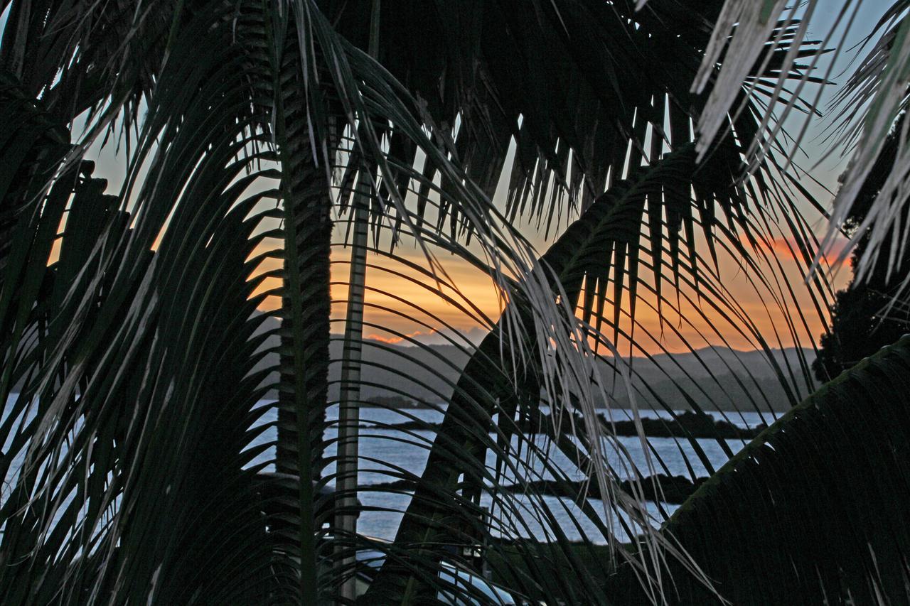 Driftwood Lodge Beachfront, Cable Bay, Northland Coopers Beach Εξωτερικό φωτογραφία